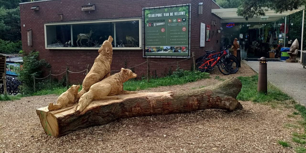 Foto: Bezoekerscentrum Nunspeet krijgt mogelijk extra geld